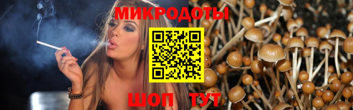 Псилоцибиновые грибы GOLDEN TEACHER Алатырь